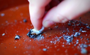 Break This Disgusting Habit For Good!