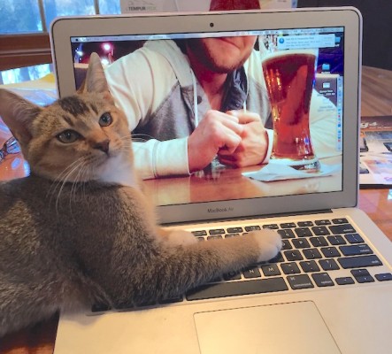 And a final bonus Caturday: Graham’s MacBook Air