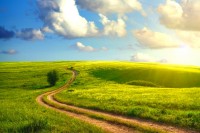 Getting Off The “Happy Path”: A Cool Approach To Synthetic Data.