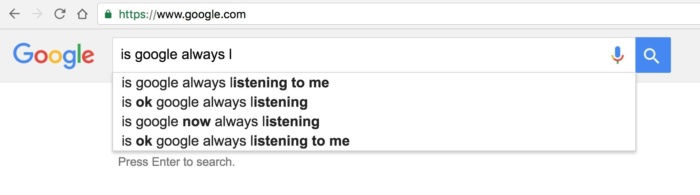 googlge search screenshot