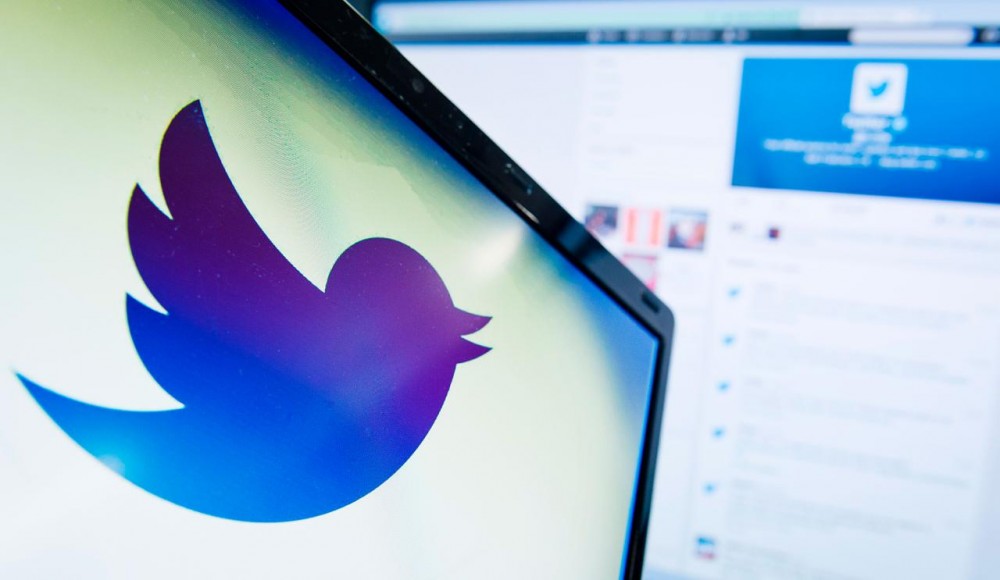 Twitter bird
