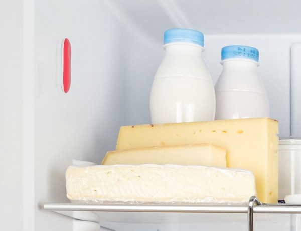 1472790603-4739-5-In-the-fridge