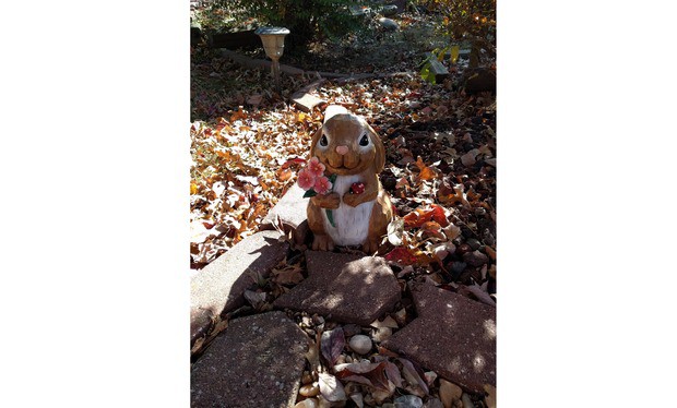 05-nexus-6-camera-sample-a-2-100623976-large.idge_