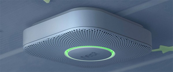 nest