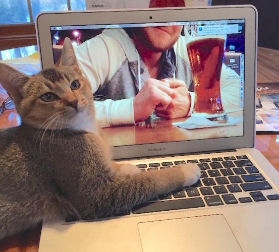 And a final bonus Caturday: Graham’s MacBook Air