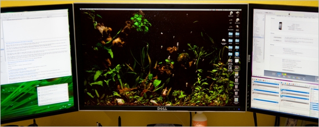 Dealing with Aging Eyes, Screen Size, and Resolution