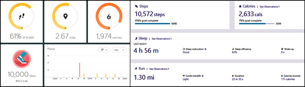Fitness Tracker Graphs