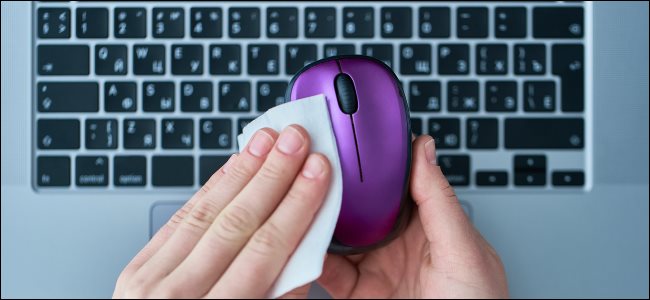 A hand wiping a mouse with a wipe.
