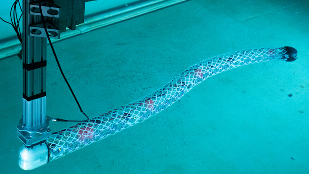 This robot eel could be the start of a new breed of ‘voxel’ robots